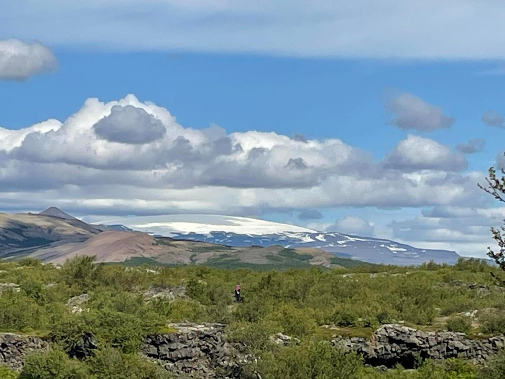 Holt Villa Reykholt  Eksteriør bilde